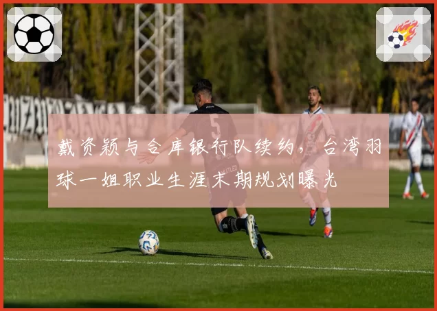 戴资颖与合库银行队续约,台湾羽球一姐职业生涯末期规划曝光