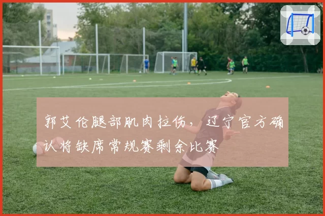 郭艾伦腿部肌肉拉伤，辽宁官方确认将缺席常规赛剩余比赛