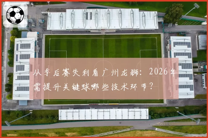 从季后赛失利看广州龙狮:2026年需提升关键球哪些技术环节?