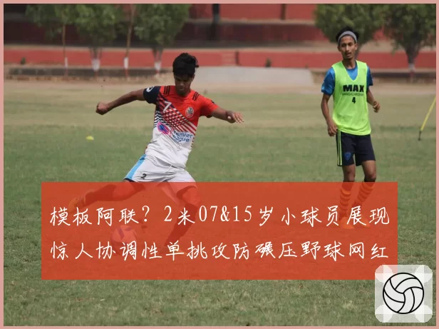 模板阿联?2米07&15岁小球员展现惊人协调性单挑攻防碾压野球网红