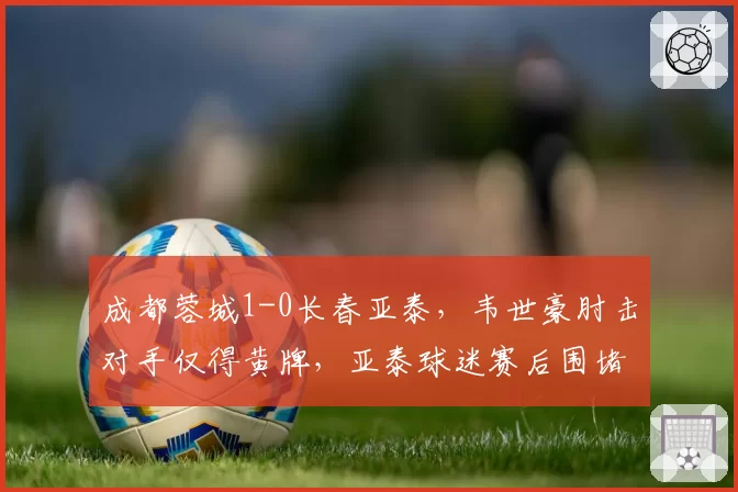 成都蓉城1-0长春亚泰，韦世豪肘击对手仅得黄牌，亚泰球迷赛后围堵裁判大巴