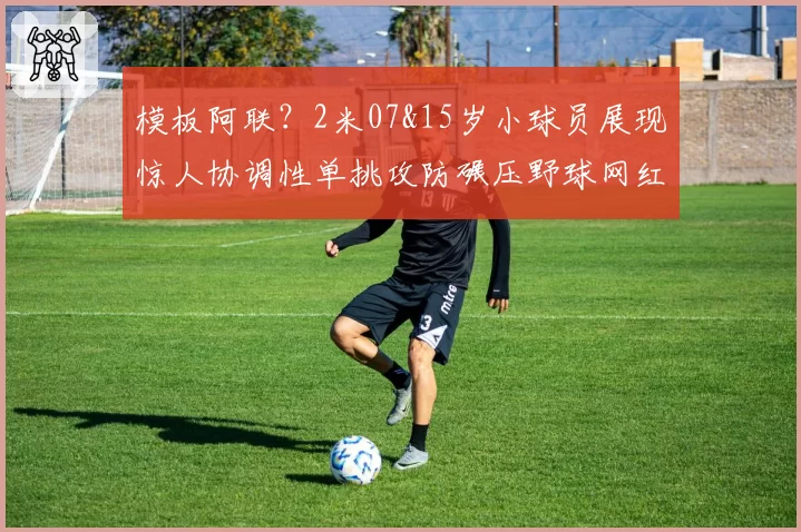 模板阿联?2米07&15岁小球员展现惊人协调性单挑攻防碾压野球网红