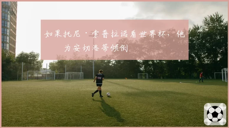 如果托尼·索普拉诺看世界杯,他会为安切洛蒂倾倒